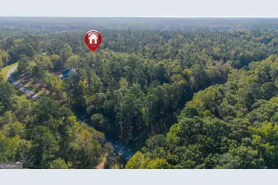 1081 Eagle Way Drive, Greensboro, GA 30642 - Photo 9