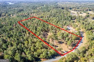 1081 Eagle Way Dr, Greensboro, GA 30642 - Photo 1