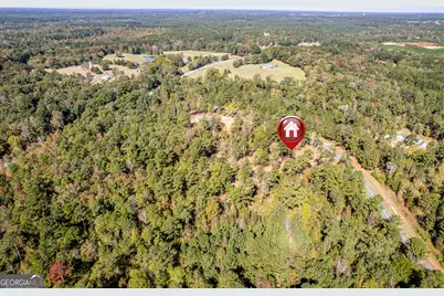 1081 Eagle Way Drive, Greensboro, GA 30642 - Photo 15
