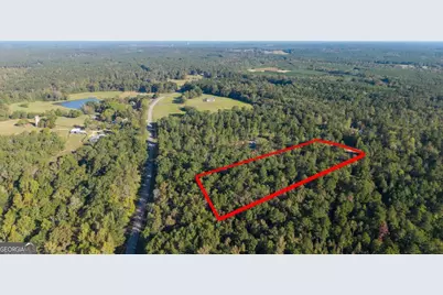 1081 Eagle Way Drive, Greensboro, GA 30642 - Photo 7