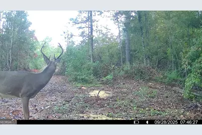 15 Turning Point Way, Elberton, GA 30635 - Photo 11