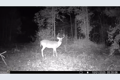 15 Turning Point Way, Elberton, GA 30635 - Photo 7