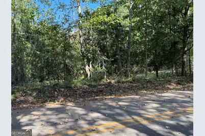 0 Hudson, Hamilton, GA 31811 - Photo 5