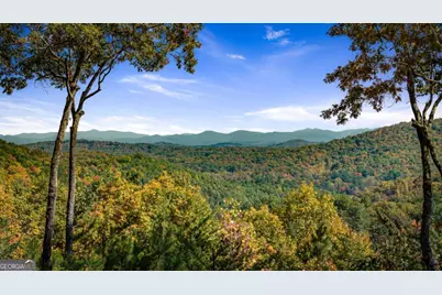 1655 Mangums Trail, Blue Ridge, GA 30513 - Photo 13