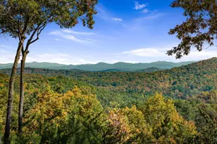 1655 Mangum's Trail, Blue Ridge, GA 30513 - Photo 13