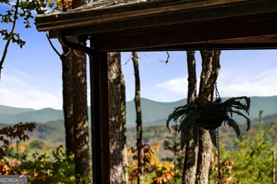 1655 Mangums Trail, Blue Ridge, GA 30513 - Photo 33