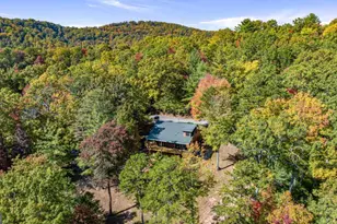 1655 Mangum's Trail, Blue Ridge, GA 30513 - Photo 5