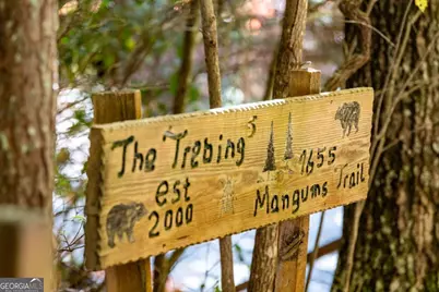 1655 Mangums Trail, Blue Ridge, GA 30513 - Photo 31