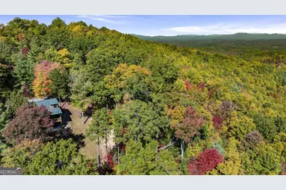 1655 Mangums Trail, Blue Ridge, GA 30513 - Photo 7