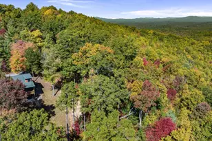 1655 Mangum's Trail, Blue Ridge, GA 30513 - Photo 7