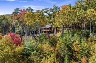 1655 Mangum's Trail, Blue Ridge, GA 30513 - Photo 11