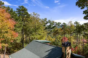 1655 Mangum's Trail, Blue Ridge, GA 30513 - Photo 3