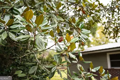 5525 E Railroad Avenue, Patterson, GA 31557 - Photo 15