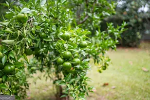 5525 E Railroad Ave, Patterson, GA 31557 - Photo 17