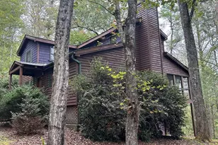 445 Twin Creeks Rd, Blue Ridge, GA 30513 - Photo 43