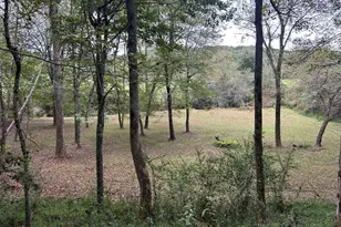 445 Twin Creeks Rd, Blue Ridge, GA 30513 - Photo 3