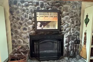 445 Twin Creeks Rd, Blue Ridge, GA 30513 - Photo 67