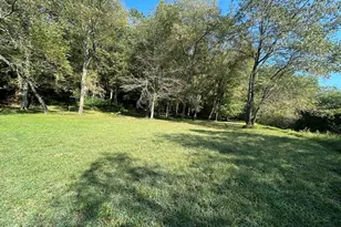 445 Twin Creeks Rd, Blue Ridge, GA 30513 - Photo 35