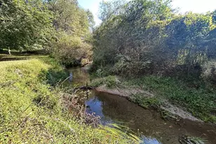 445 Twin Creeks Rd, Blue Ridge, GA 30513 - Photo 9