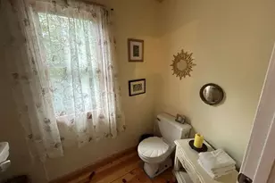 445 Twin Creeks Rd, Blue Ridge, GA 30513 - Photo 55