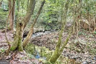 3966 Hickory Nut Dr, Hiawassee, GA 30546 - Photo 47