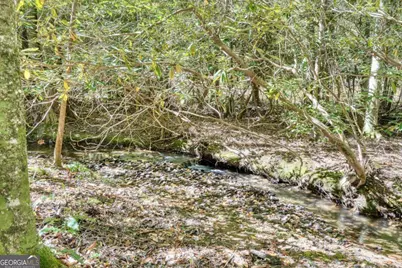 3966 Hickory Nut Drive, Hiawassee, GA 30546 - Photo 37