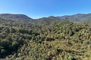 3966 Hickory Nut Dr, Hiawassee, GA 30546 - Photo 49