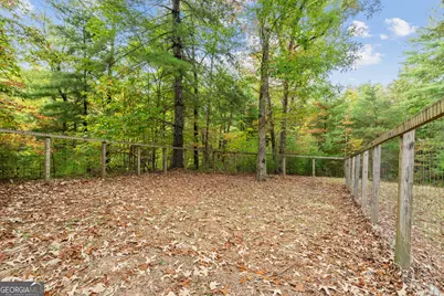 164 Hoot Owl Hill, Morganton, GA 30560 - Photo 43