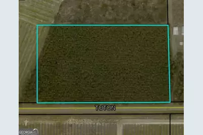 0 Tuton Road, Baconton, GA 31716 - Photo 5