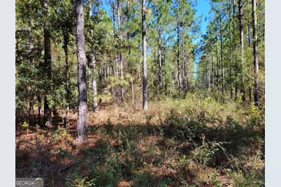0 Tuton Road, Baconton, GA 31716 - Photo 3