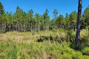 0 Tuton Rd, Baconton, GA 31716 - Photo 1