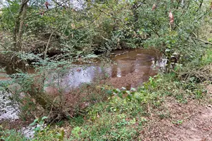 1398 Vanna Rd, Royston, GA 30662 - Photo 33