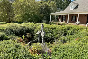 1398 Vanna Rd, Royston, GA 30662 - Photo 27