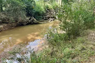 1398 Vanna Rd, Royston, GA 30662 - Photo 29