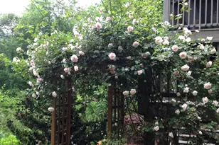 197 Eagles View Rd, Hayesville, NC 28904 - Photo 45