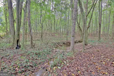 519 Cumberland Trail, Senoia, GA 30276 - Photo 53