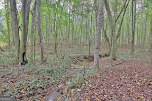 519 Cumberland Trail, Senoia, GA 30276 - Photo 53