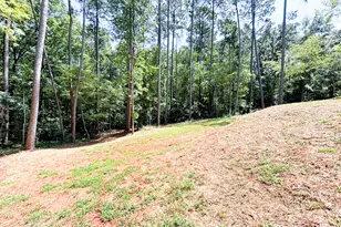 235 Waxwing Dr, Monticello, GA 31064 - Photo 43