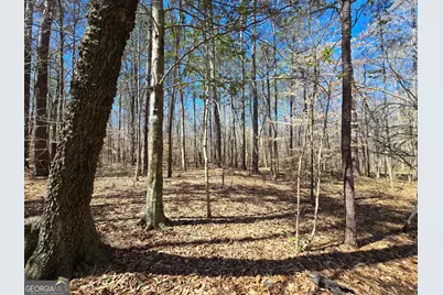 0 River Shoals Court, Covington, GA 30016 - Photo 11