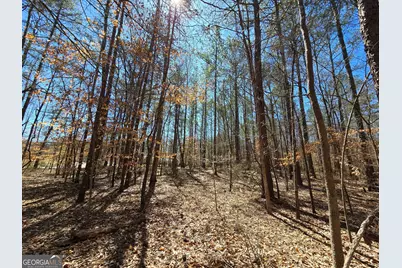 0 River Shoals Court, Covington, GA 30016 - Photo 9