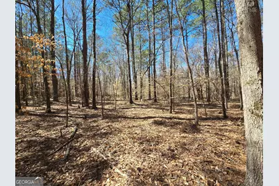 0 River Shoals Court, Covington, GA 30016 - Photo 1