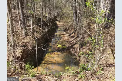 0 River Shoals Court, Covington, GA 30016 - Photo 3