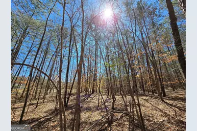 0 River Shoals Court, Covington, GA 30016 - Photo 7