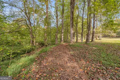 438 Turner Road, Cleveland, GA 30528 - Photo 93