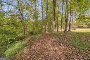 438 Turner Rd, Cleveland, GA 30528 - Photo 93