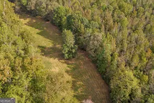 438 Turner Rd, Cleveland, GA 30528 - Photo 57