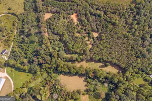 438 Turner Rd, Cleveland, GA 30528 - Photo 77