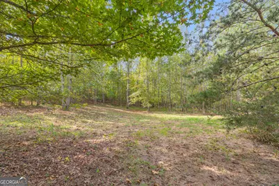 438 Turner Road, Cleveland, GA 30528 - Photo 101