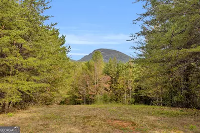 438 Turner Road, Cleveland, GA 30528 - Photo 95