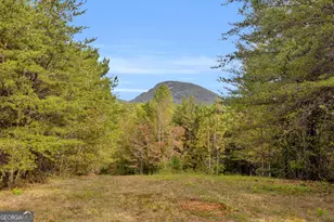 438 Turner Rd, Cleveland, GA 30528 - Photo 95